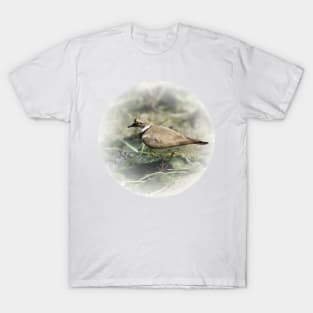 Little ringed plover T-Shirt